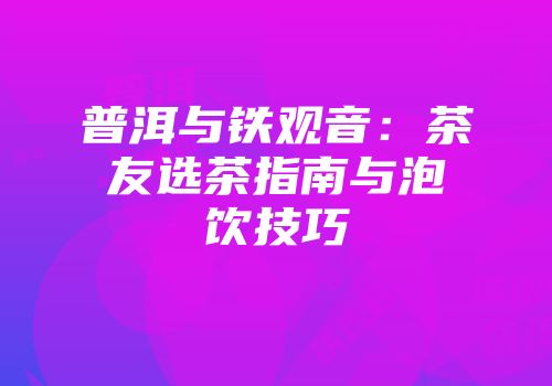 普洱与铁观音：茶友选茶指南与泡饮技巧