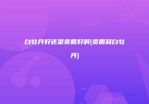 白牡丹好还是贡眉好啊(贡眉和白牡丹)