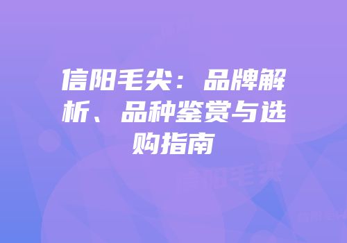 信阳毛尖：品牌解析、品种鉴赏与选购指南