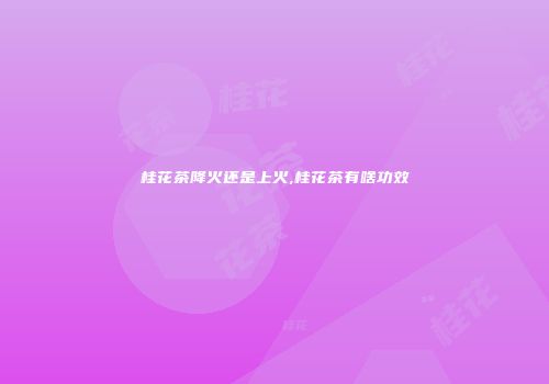 桂花茶降火还是上火,桂花茶有啥功效