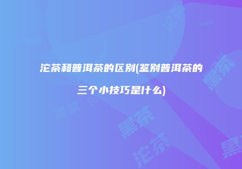沱茶和普洱茶的区别(鉴别普洱茶的三个小技巧是什么)