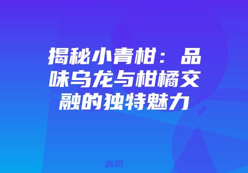 揭秘小青柑：品味乌龙与柑橘交融的独特魅力