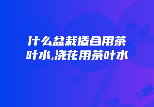 什么盆栽适合用茶叶水,浇花用茶叶水