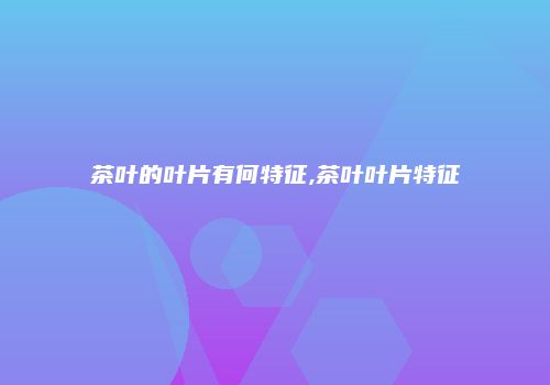 茶叶的叶片有何特征,茶叶叶片特征
