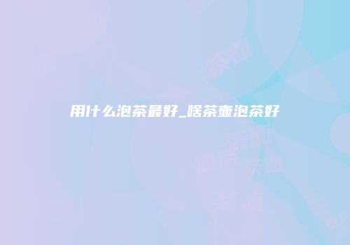 用什么泡茶最好_啥茶壶泡茶好