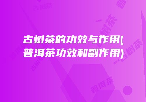 古树茶的功效与作用(普洱茶功效和副作用)
