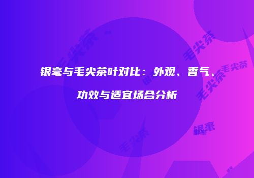 银毫与毛尖茶叶对比：外观、香气、功效与适宜场合分析