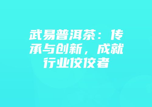 武易普洱茶：传承与创新，成就行业佼佼者