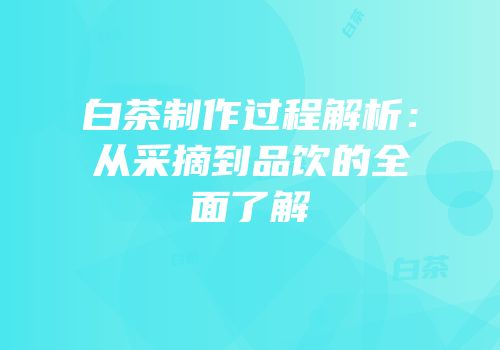 白茶制作过程解析：从采摘到品饮的全面了解