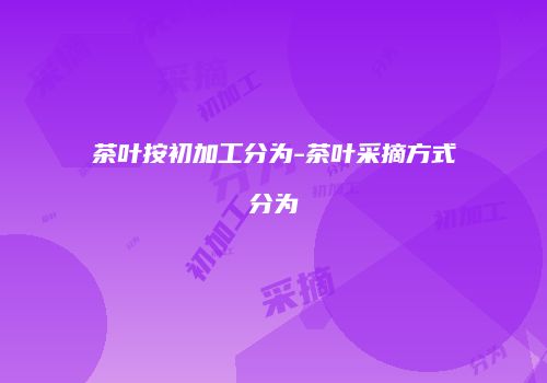 茶叶按初加工分为-茶叶采摘方式分为