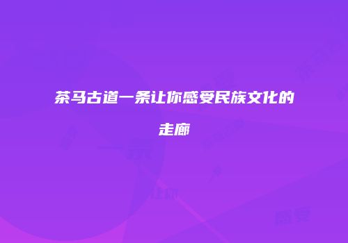 茶马古道一条让你感受民族文化的走廊