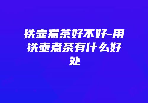 铁壶煮茶好不好-用铁壶煮茶有什么好处
