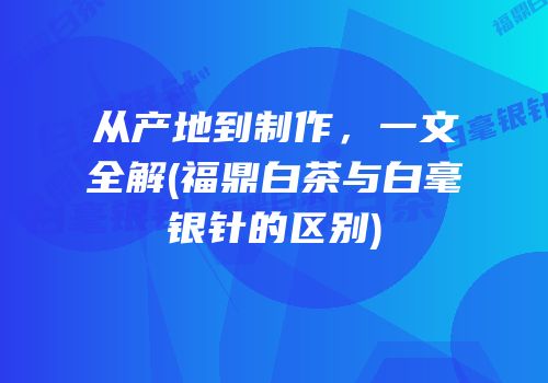从产地到制作，一文全解(福鼎白茶与白毫银针的区别)