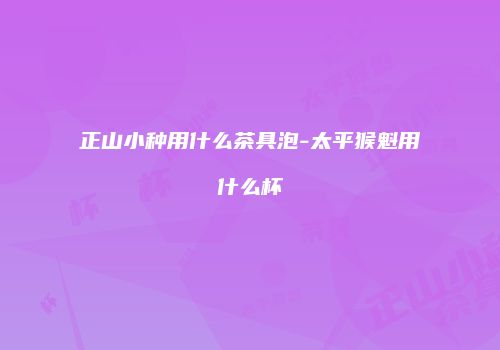 正山小种用什么茶具泡-太平猴魁用什么杯