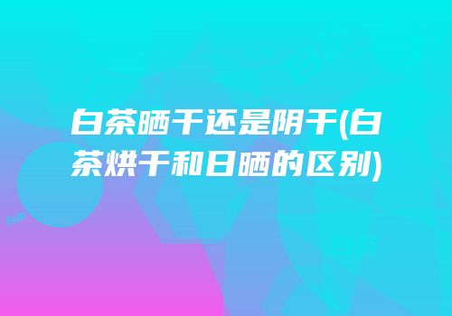 白茶晒干还是阴干(白茶烘干和日晒的区别)