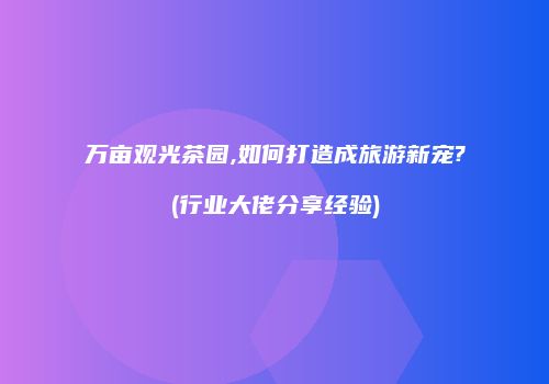 万亩观光茶园,如何打造成旅游新宠?(行业大佬分享经验)