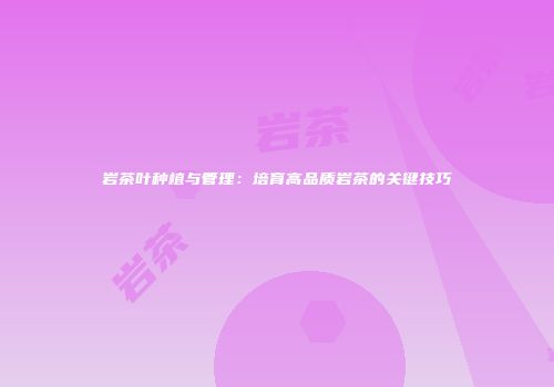 岩茶叶种植与管理：培育高品质岩茶的关键技巧