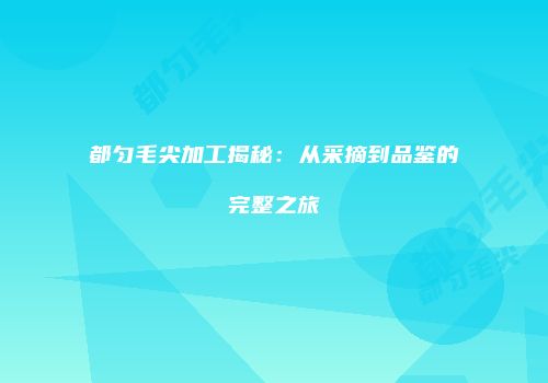 都匀毛尖加工揭秘：从采摘到品鉴的完整之旅