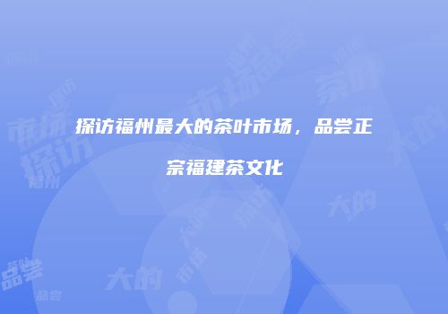 探访福州最大的茶叶市场，品尝正宗福建茶文化