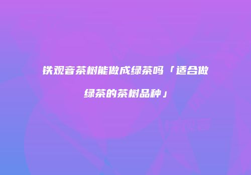 铁观音茶树能做成绿茶吗「适合做绿茶的茶树品种」