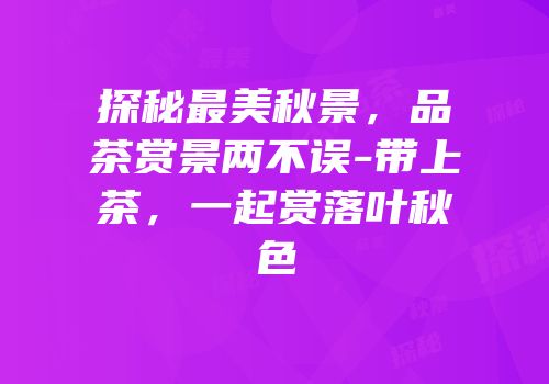 探秘最美秋景，品茶赏景两不误-带上茶，一起赏落叶秋色