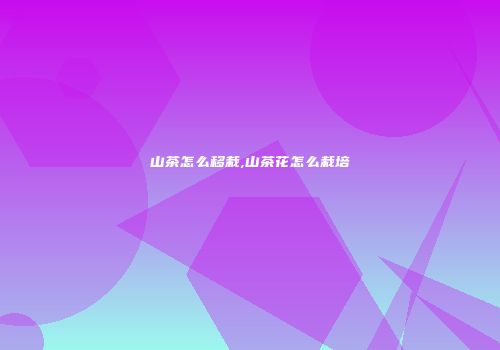 山茶怎么移栽,山茶花怎么栽培