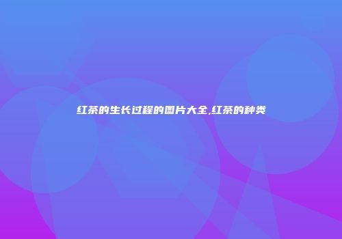 红茶的生长过程的图片大全,红茶的种类