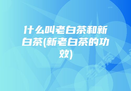 什么叫老白茶和新白茶(新老白茶的功效)
