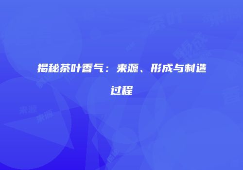 揭秘茶叶香气：来源、形成与制造过程