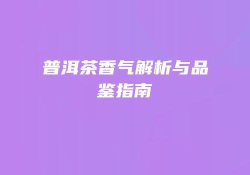 普洱茶香气解析与品鉴指南