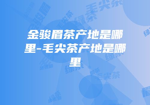 金骏眉茶产地是哪里-毛尖茶产地是哪里