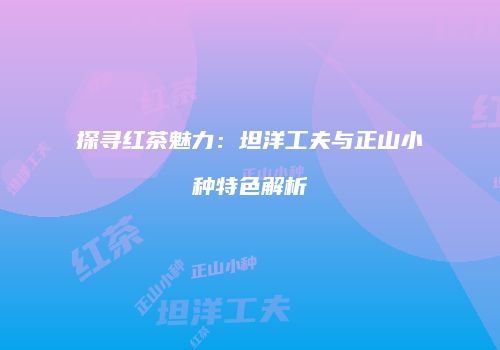 探寻红茶魅力：坦洋工夫与正山小种特色解析