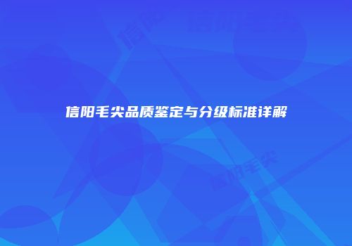 信阳毛尖品质鉴定与分级标准详解