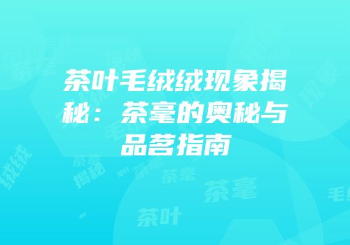 茶叶毛绒绒现象揭秘：茶毫的奥秘与品茗指南