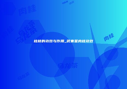 桂枝的功效与作用_武夷星肉桂功效