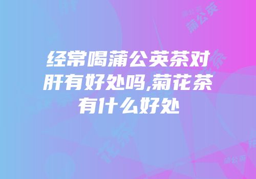 经常喝蒲公英茶对肝有好处吗,菊花茶有什么好处