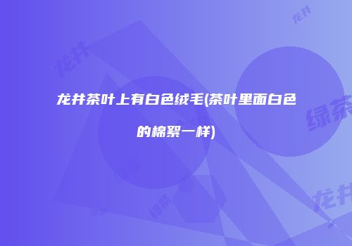 龙井茶叶上有白色绒毛(茶叶里面白色的棉絮一样)
