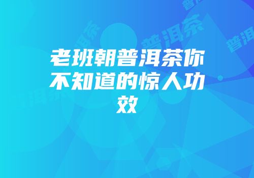 老班朝普洱茶你不知道的惊人功效