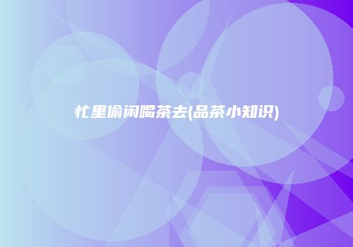 忙里偷闲喝茶去(品茶小知识)