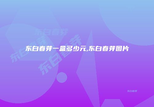东白春芽一盒多少元,东白春芽图片