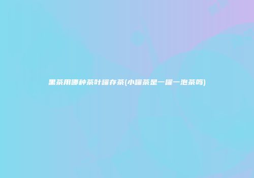 黑茶用哪种茶叶罐存茶(小罐茶是一罐一泡茶吗)