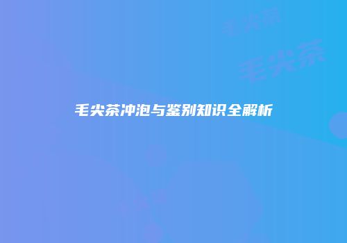 毛尖茶冲泡与鉴别知识全解析