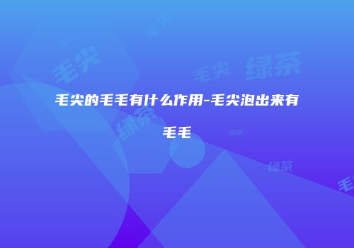 毛尖的毛毛有什么作用-毛尖泡出来有毛毛