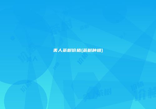 美人茶树价格(茶树种植)