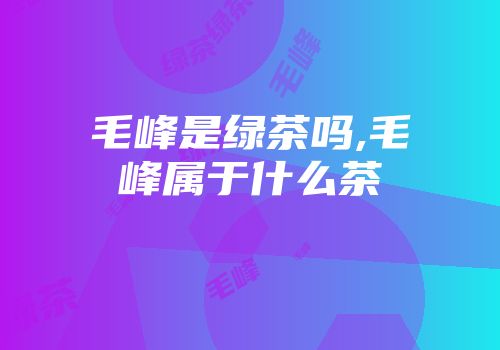 毛峰是绿茶吗,毛峰属于什么茶