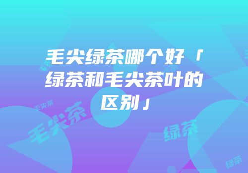 毛尖绿茶哪个好「绿茶和毛尖茶叶的区别」