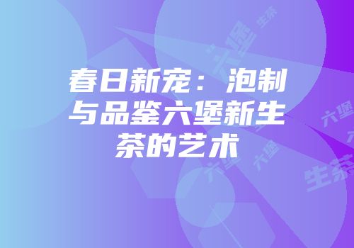春日新宠：泡制与品鉴六堡新生茶的艺术
