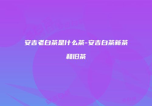 安吉老白茶是什么茶-安吉白茶新茶和旧茶