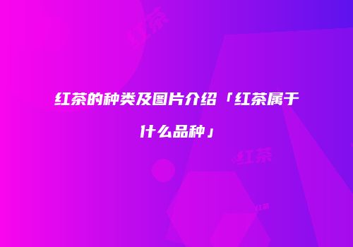 红茶的种类及图片介绍「红茶属于什么品种」