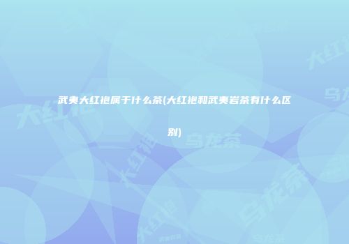 武夷大红袍属于什么茶(大红袍和武夷岩茶有什么区别)